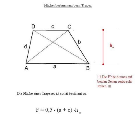Fläche von Vierecken