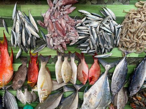 Various types of fresh fish in the traditional market Stock Photo | Adobe Stock