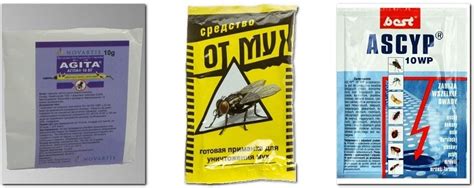 Как избавиться от мух в квартире в домашних условиях самостоятельно