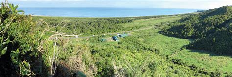 Punakaiki Coastal Restoration Project Wildlab