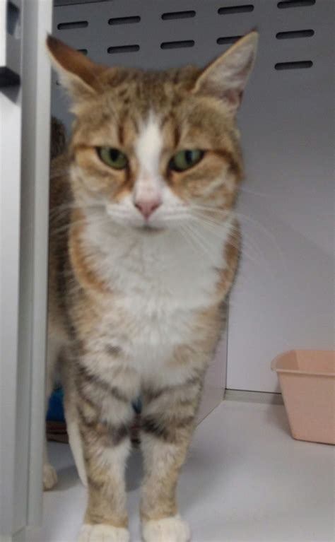 mahine spa de dole  sa region