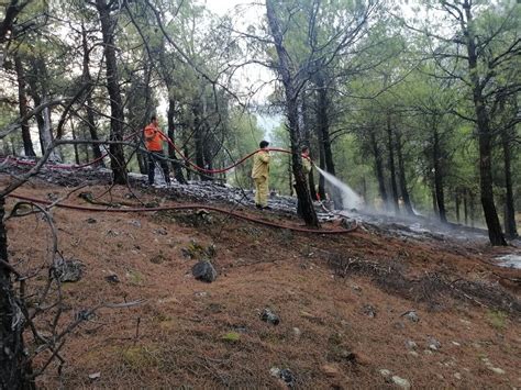 Çorum Kargı da Ormanlık Alanda Yangın Son Dakika