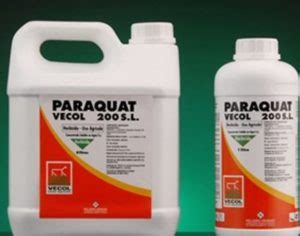 Popular Herbicide Paraquat Linked To High Risk Of Parkinsons Disease