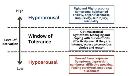 Window Of Tolerance A Powerful Tool For Trauma Recovery