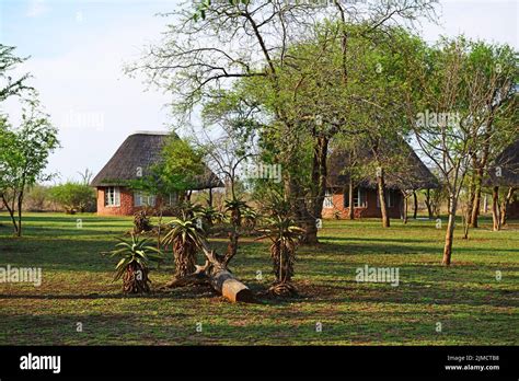 Ndlovu Camp Hlane Royal Nationalpark Swaziland Africa Stock Photo