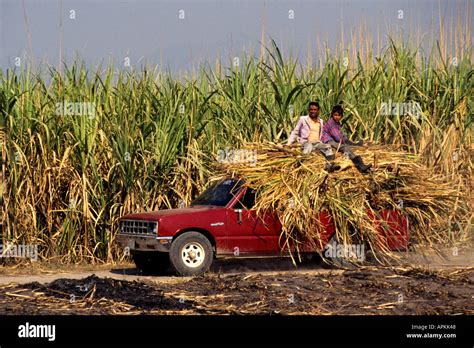 Sugar Cane Refinery Transport San Salvador Stock Photo Alamy