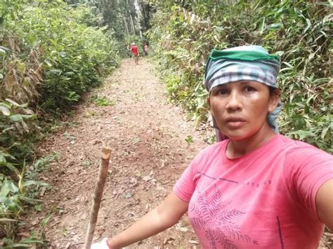 No Pará é possível produzir e conservar na floresta amazônica