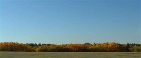autumn  search