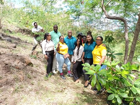 Forestry Unit Royalton Antigua To Commemorate International Day Of