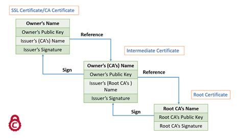 Chain Of Certificates Learn Cryptography