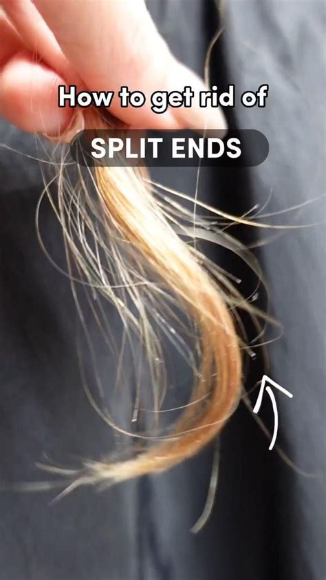 How To Get Rid Of Split Ends Video Hair Maintenance Split Ends