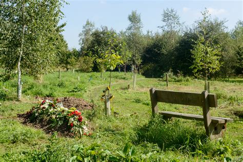 Why choose Natural Burial? - The Natural Burial Company