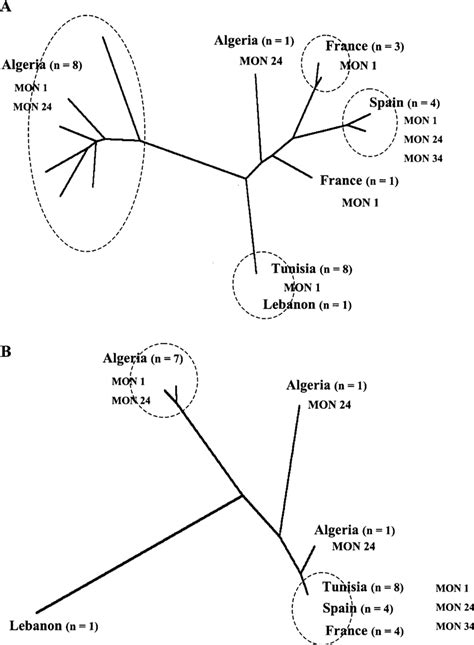 Fitch Margoliash Dendrogram Of Leishmania Infantum Stocks Constructed