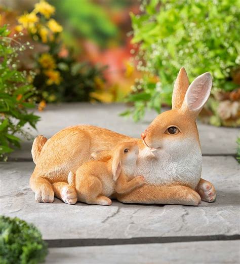 You'll smile every time you look at this mother rabbit cuddling her ...