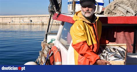 Captura Nacional De Pescado Aumenta Em Para