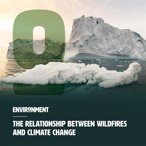 Everything You Need to Know About Melting Ice Caps - Environment Co