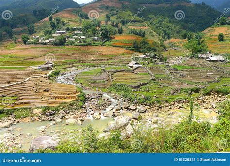 Sapa rice terraces Vietnam editorial photo. Image of landscape - 55320521