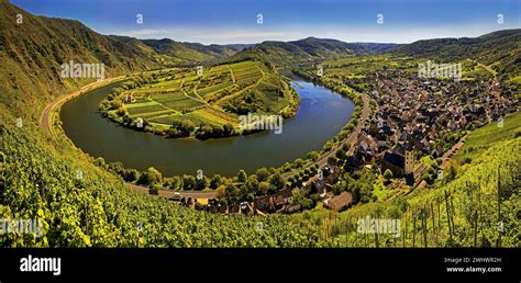 Moselschleife Mit Weinbergen Und Sankt Laurentius Kirche Vom