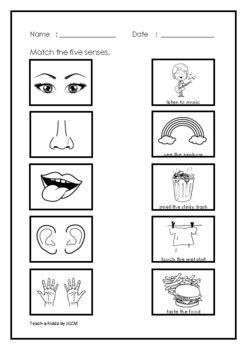 The 5 Senses Worksheets by Teach-a-Kiddo | Teachers Pay Teachers