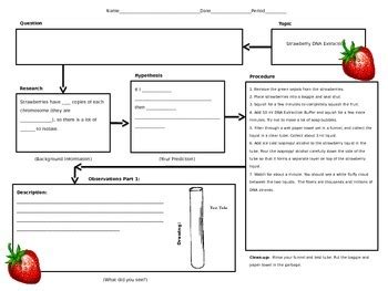 Strawberry DNA Extraction Lab by Powerful Points | TPT