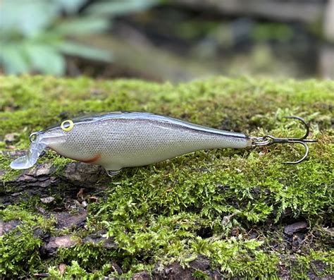 Woblery Rapala na šťuky | Prívlač | Oukrofishing
