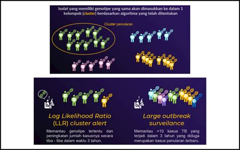 Sinergi Whole Genome Sequencing Tes Cepat Molekuler Revolusi Diagnosis Dan Pengobatan Tb