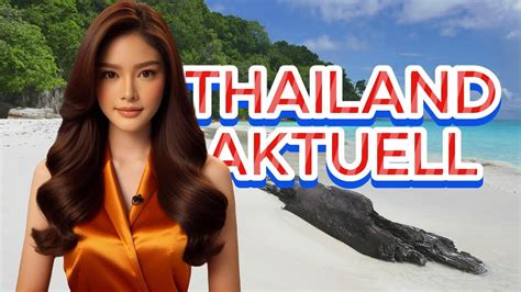 Thailand Aktuell Oropouche Fieber Red Bull Erbe