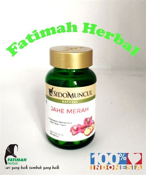 Jual Kapsul Jahe Merah Natural Sido Muncul 50 Kapsul Di Lapak Fatimah