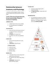 Understanding The Relationship Between Anatomy And Physiology Course