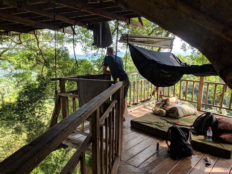 The Gibbon Experience Huay Xai All You Need To Know Before You Go