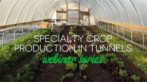 Specialty Crop Production In Tunnels Webinar Series Youtube