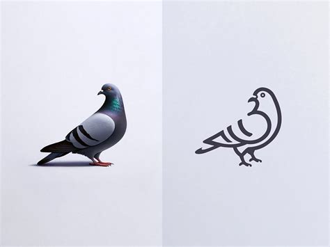 Urban Elegance: Pigeon Logo Design by Walid Ibn Hossain on Dribbble