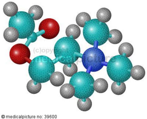 Acetylcholin - DocCheck
