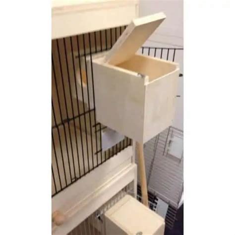 Nest Box Gouldian Finch - Newport Pets