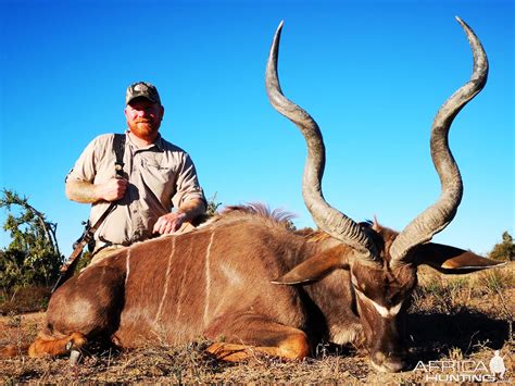 Kudu Hunt South Africa