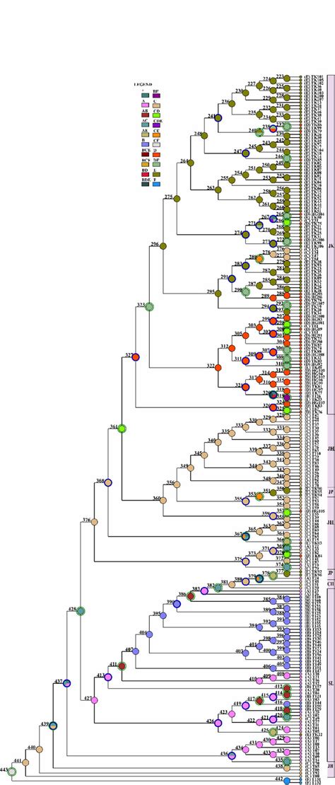 Ancestral Areas Of Pinus Densiflora Estimated Under The Divalike J