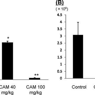 Changes In The Total Cell Counts In Balf And Total Cell Counts A And