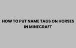 5 Simple Steps To Tame The Wild With Custom Horse Names In Minecraft