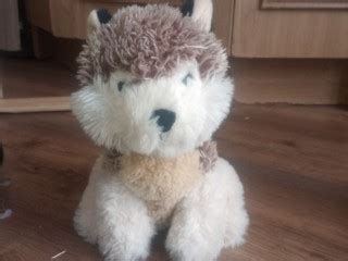 Gray Brown Wolf Pornhub Gay