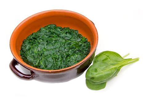 Cooked Spinach To The Pan Stock Photo Image Of Closeup 47749004