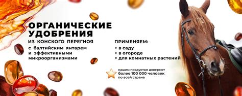 ЭКО-КОНЬ | Органические удобрения | Присоединяйся! 2025 | ВКонтакте