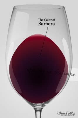 Get to Know Barbera Wine | Wine Folly