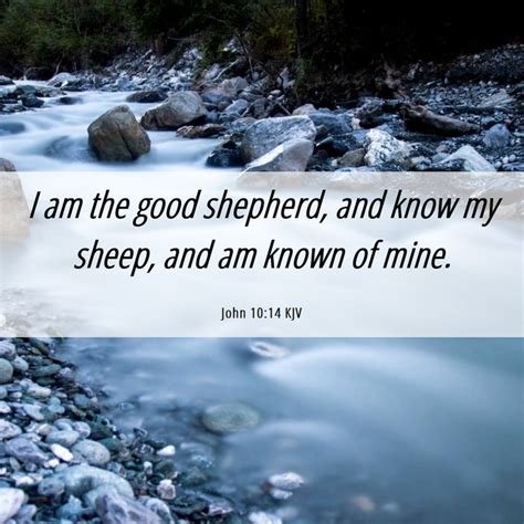 John 10 14 KJV Bible Verse Images