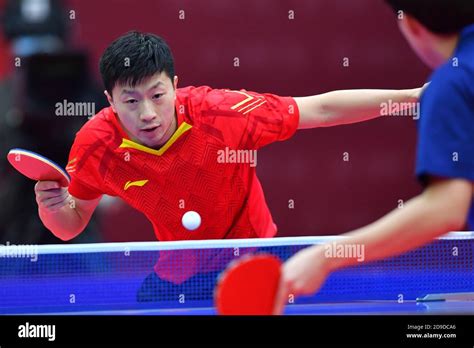 Chinese table tennis player Ma Long competes against Chinese table ...