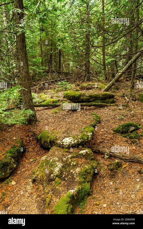 Bruce Peninsula hiking trail Tobermory Ontario Canada Stock Photo - Alamy