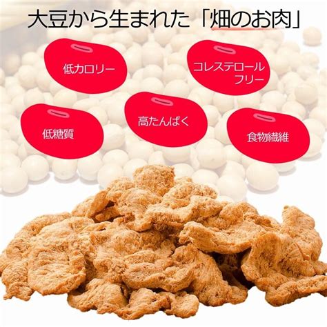 大豆ミート ソイミート フィレ バラ肉タイプ 100g ×1パック Soy Meat 04うに カニ まぐろなら築地の王様 通販