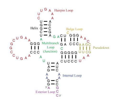 3DNA Homepage -- Nucleic Acid Structures