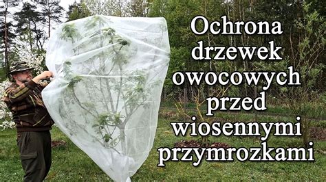 Ochrona Drzewek Owocowych Przed Wiosennymi Przymrozkami Kwiaty