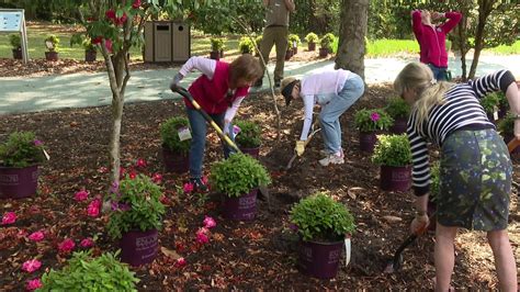 Plant An Azalea Week To Kick Off With Event At Airlie Gardens