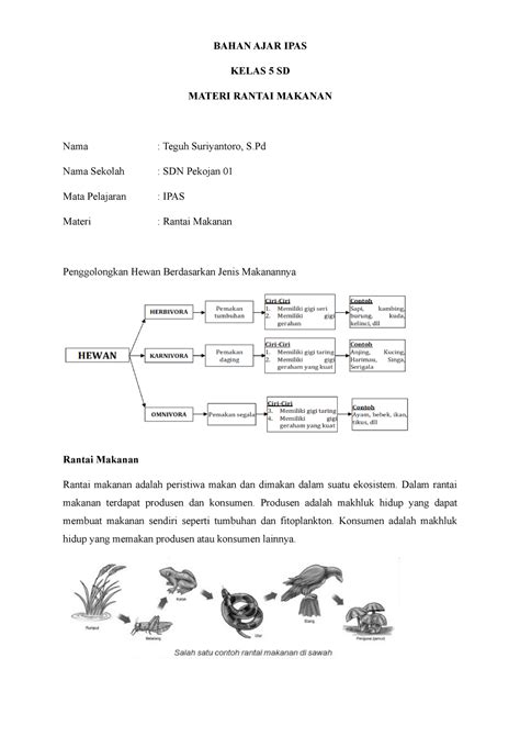 Bahan Ajar Ipas Rantai Makanan Bahan Ajar Ipas Kelas 5 Sd Materi Rantai Makanan Nama Teguh